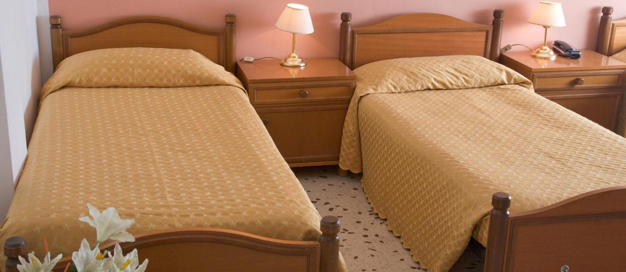 Economy Double or Twin Room